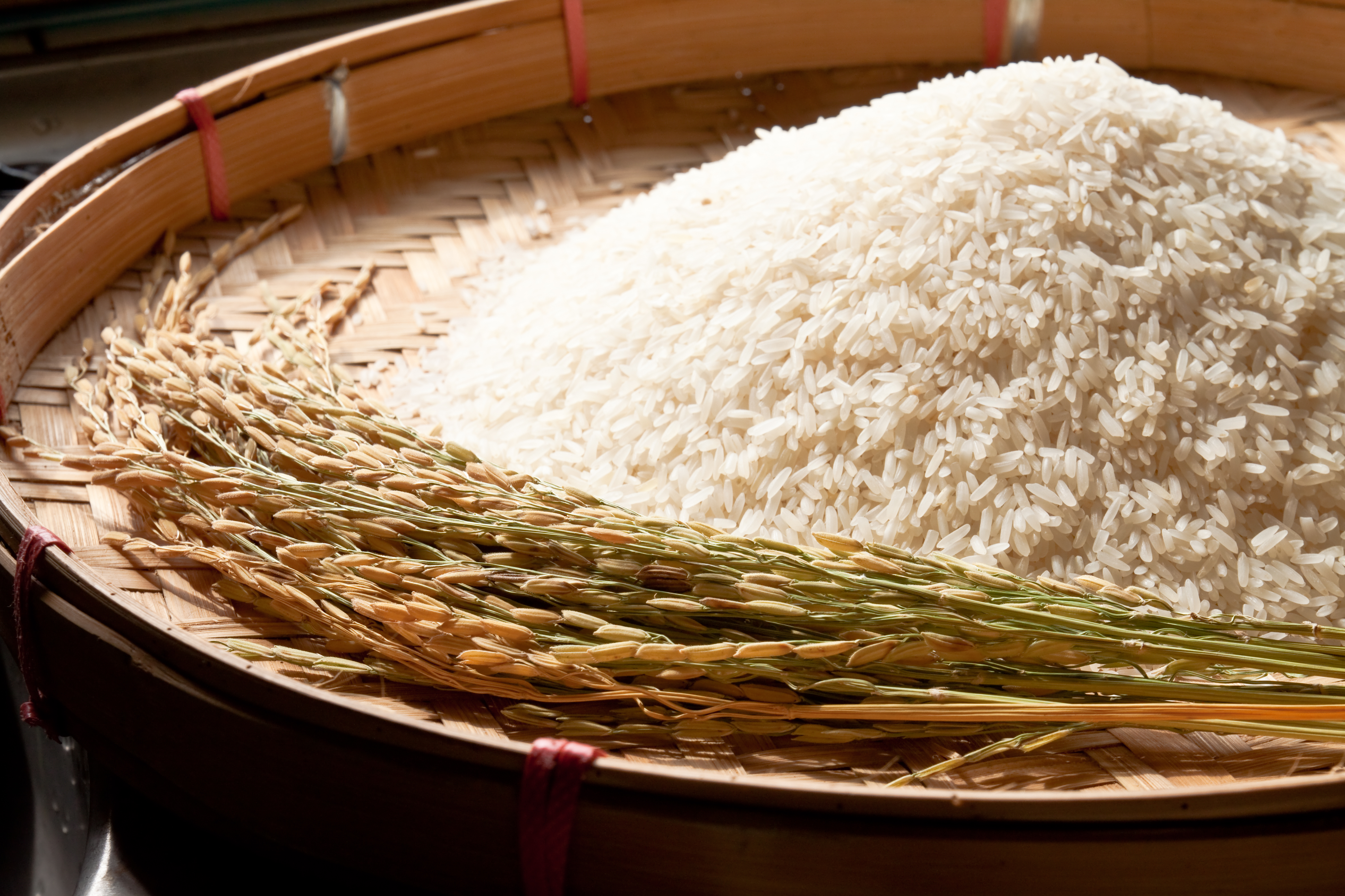 Variety of Rices